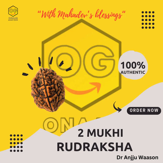 2 Mukhi Rudraksha Onar Gracious