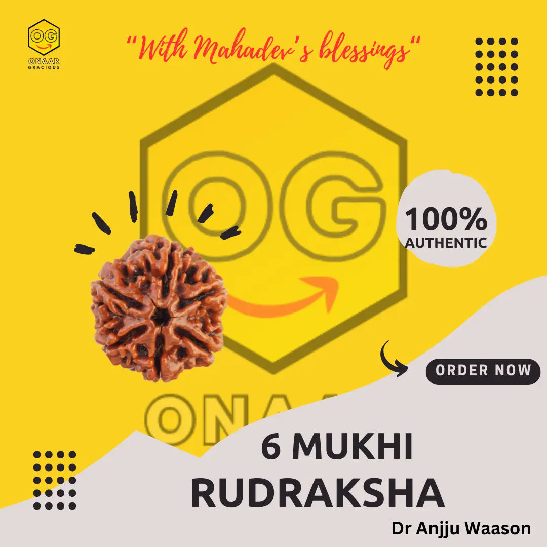 Rudraksha 6 mukhi Onar Gracious