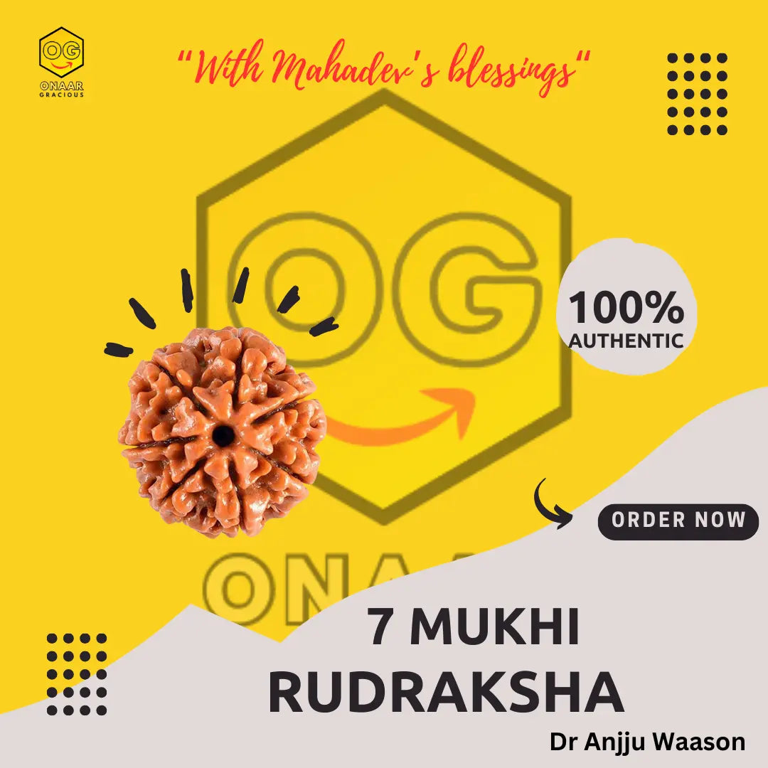 Rudraksha 7 Mukhi Onar Gracious