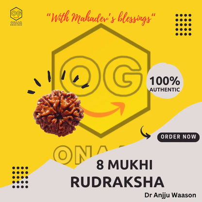 RUDRAKSHA 8 MUKHI Onar Gracious