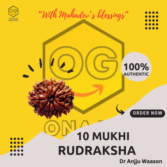 RUDRAKSHA 10 MUKHI Onar Gracious