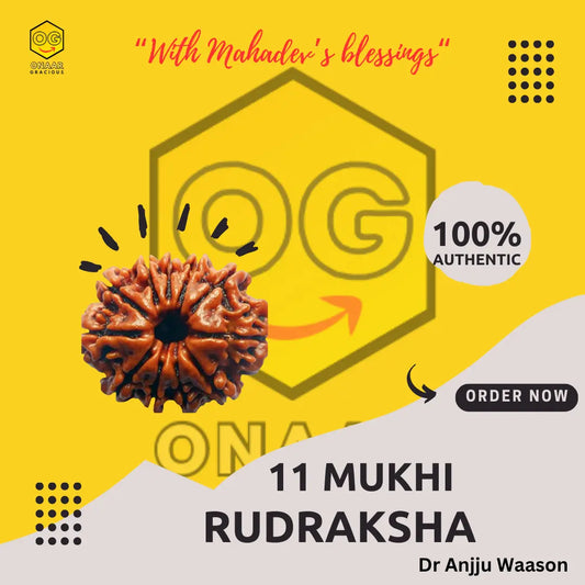 Rudraksha 11 Mukhi Onar Gracious