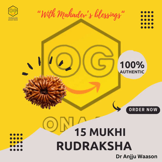 Rudraksha 15 mukhi Onar Gracious