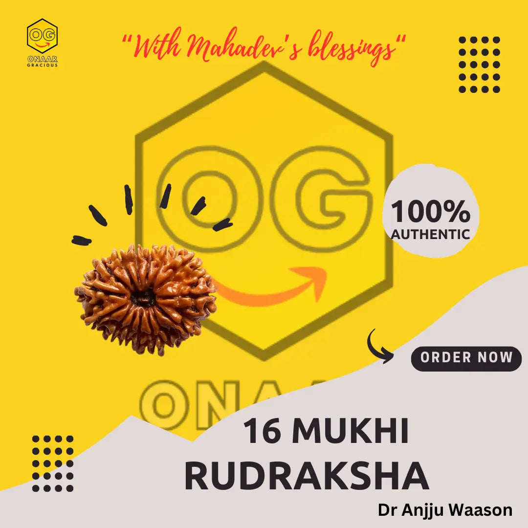 Rudraksha 16 mukhi Onar Gracious