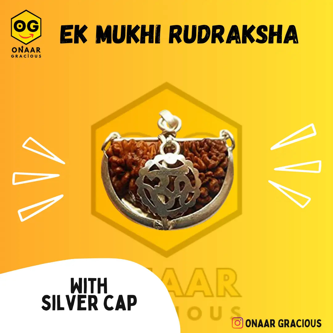 1 Mukhi Rudraksha Onar Gracious